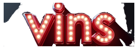 vin3s logo